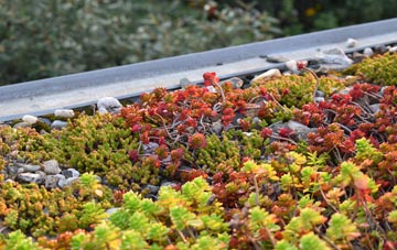 the cost of Tumpy Green green roof installation