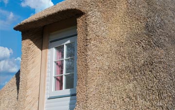 Tumpy Green thatch roof disadvantages